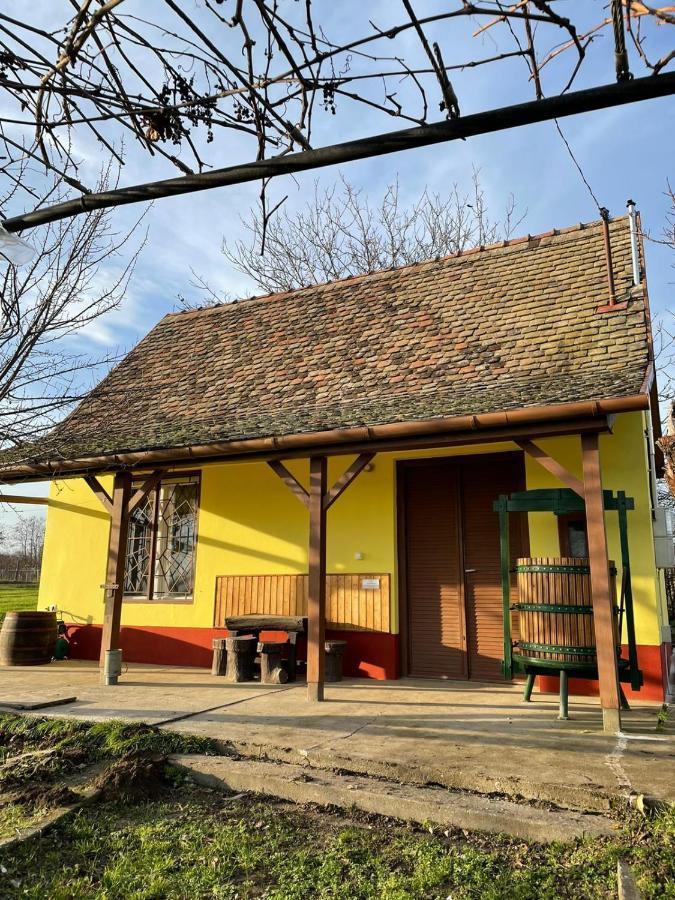 Het Hongaarse Wijnhuis Mohács Dış mekan fotoğraf